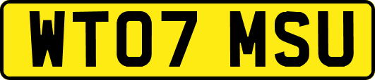 WT07MSU