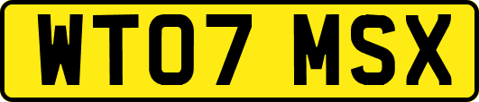 WT07MSX