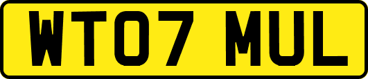 WT07MUL
