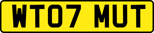 WT07MUT