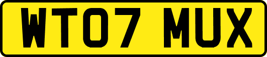 WT07MUX