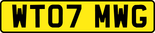 WT07MWG
