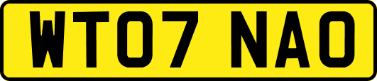 WT07NAO