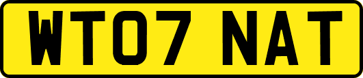 WT07NAT