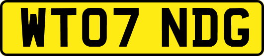 WT07NDG