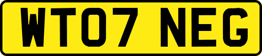 WT07NEG