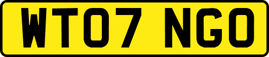 WT07NGO