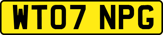 WT07NPG