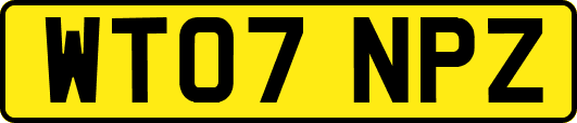WT07NPZ