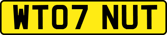 WT07NUT