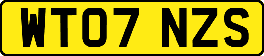 WT07NZS