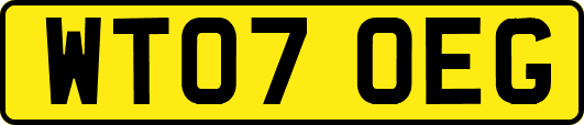 WT07OEG