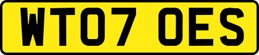 WT07OES