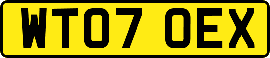 WT07OEX