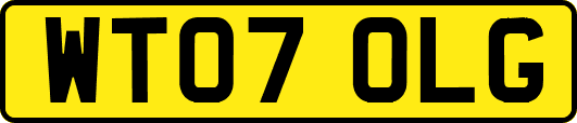 WT07OLG