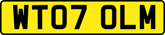 WT07OLM