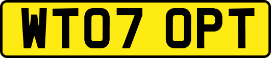 WT07OPT