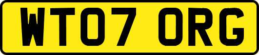 WT07ORG