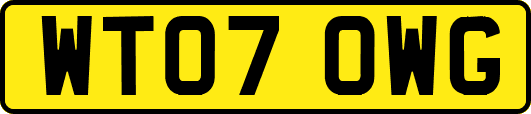 WT07OWG