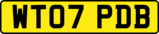 WT07PDB