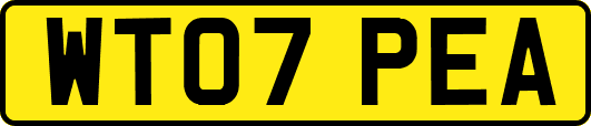 WT07PEA