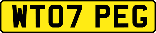 WT07PEG