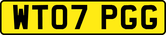 WT07PGG