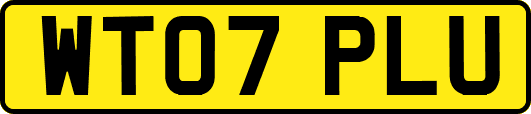 WT07PLU
