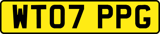 WT07PPG
