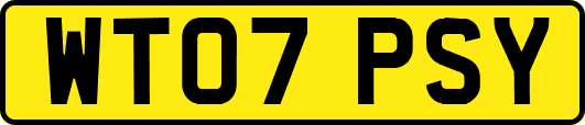 WT07PSY