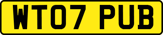 WT07PUB