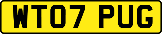 WT07PUG