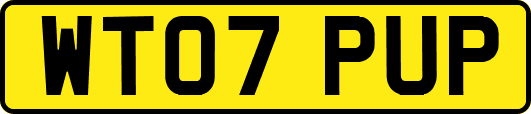 WT07PUP