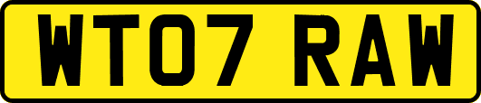 WT07RAW