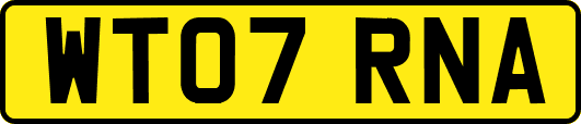 WT07RNA