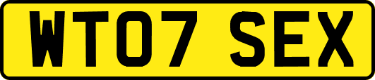 WT07SEX