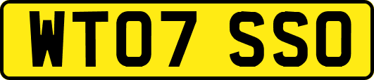 WT07SSO