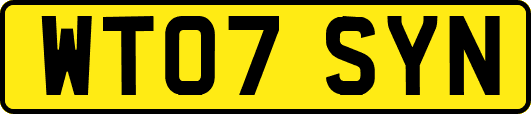 WT07SYN
