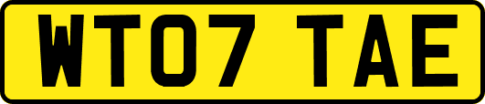 WT07TAE