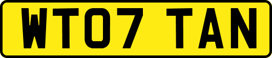 WT07TAN