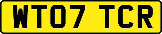 WT07TCR