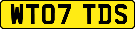 WT07TDS