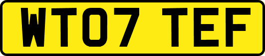 WT07TEF