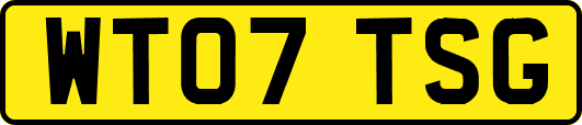WT07TSG