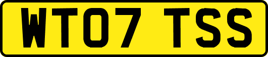 WT07TSS