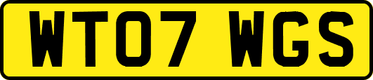 WT07WGS