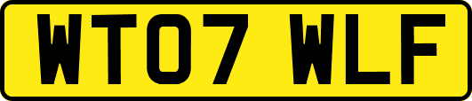 WT07WLF
