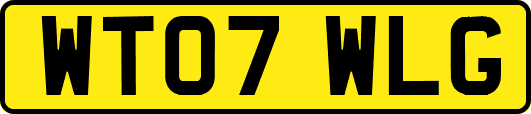 WT07WLG