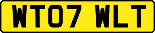WT07WLT