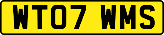 WT07WMS